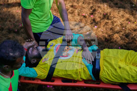 India Bull Festival Photo Essay
