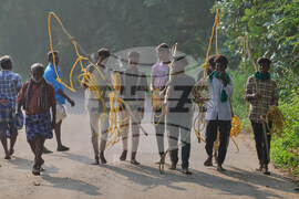 India Bull Festival Photo Essay