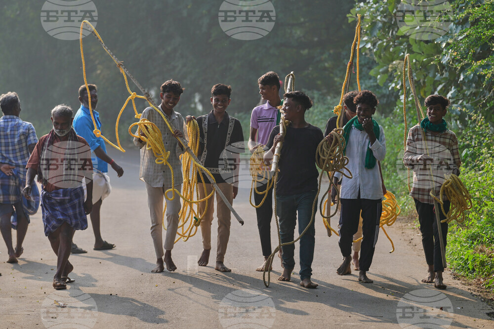 India Bull Festival Photo Essay