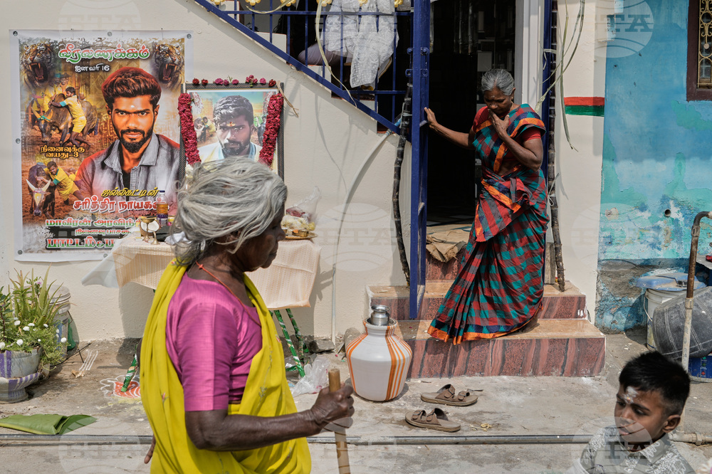 India Bull Festival Photo Essay