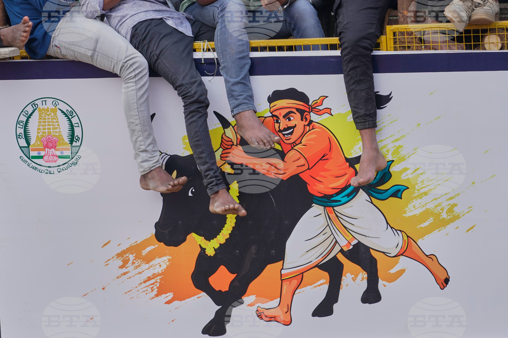 India Bull Festival Photo Essay