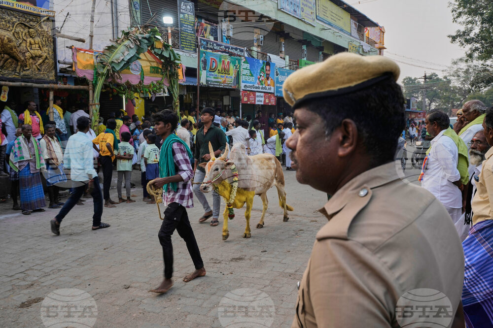 India Bull Festival Photo Essay