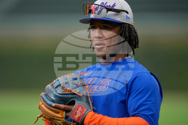 Baseball White Sox-Mets Trade