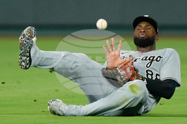 Baseball White Sox-Mets Trade