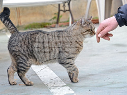 Снимка: Община Варна