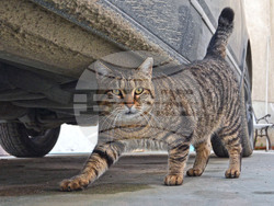 Снимка: Община Варна