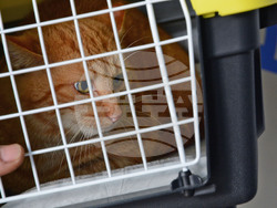 Снимка: Община Варна