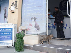 Снимка: Община Варна