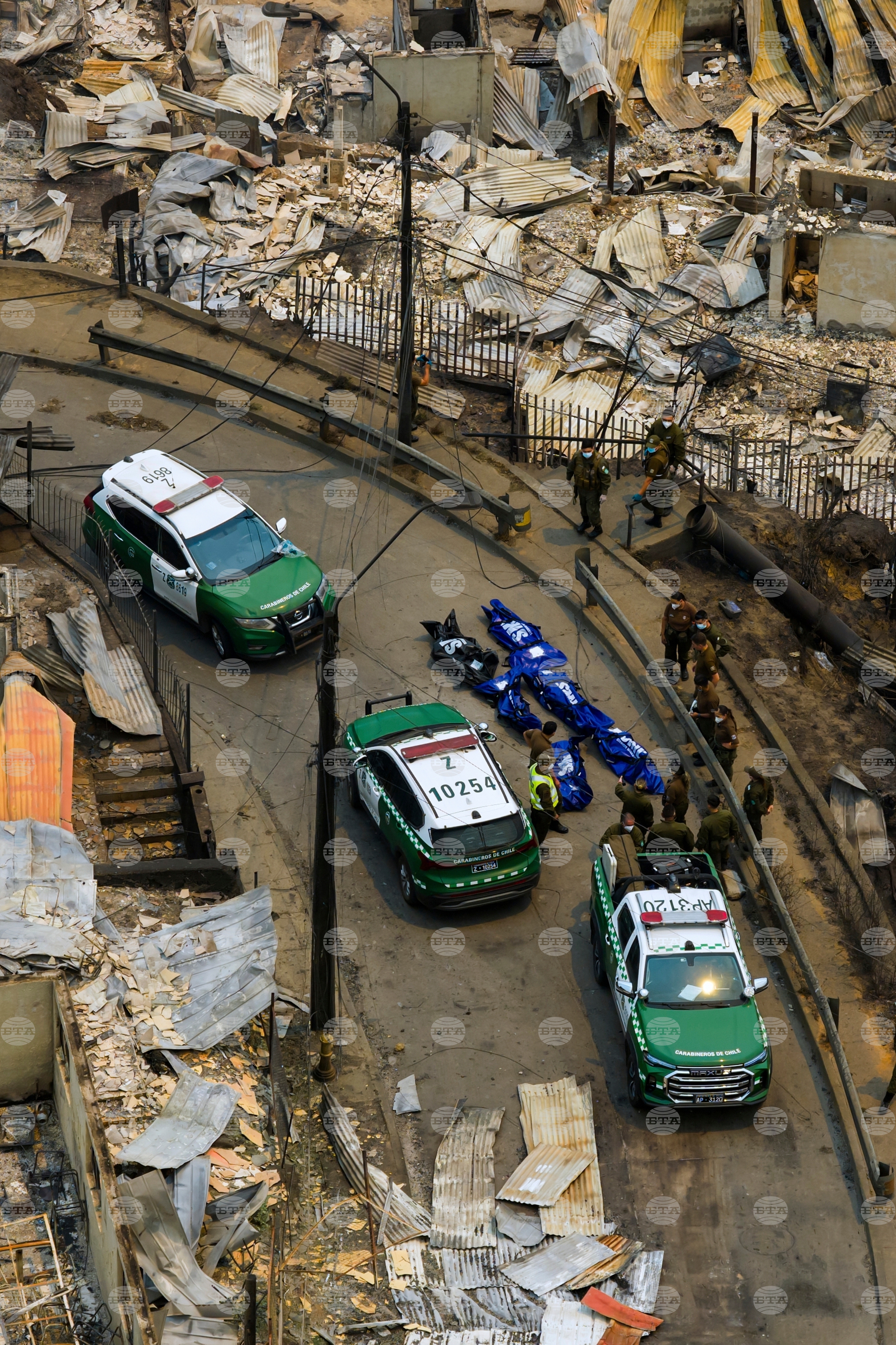 Top Vertical Photos Photo Gallery