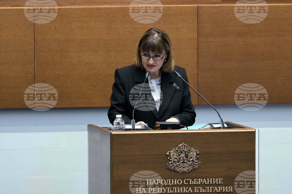 Народно събрание - заседание - Анна Александрова