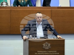 Народно събрание - заседание - Хамид Хамид