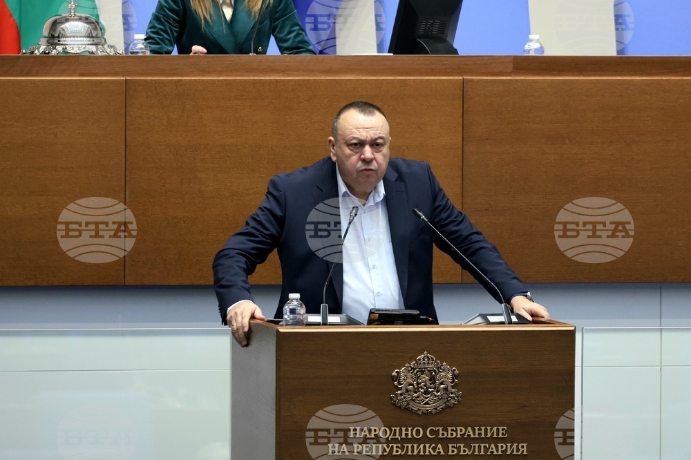 Народно събрание - заседание - Хамид Хамид