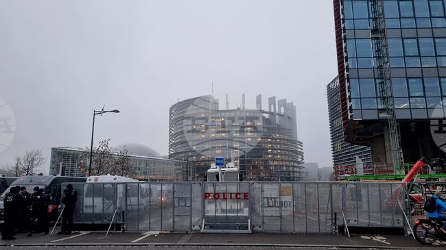 Седем български евродепутати са подкрепили решението да бъде поискано становище на Съда на ЕС за споразумението с Меркосур, девет - против