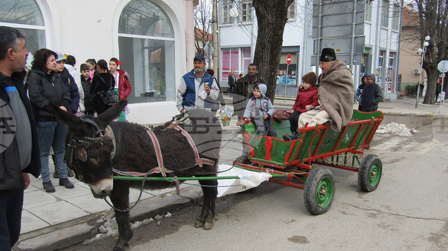 Конкурс за най-добро домашно вино правят във Вършец за празника Трифон Зарезан