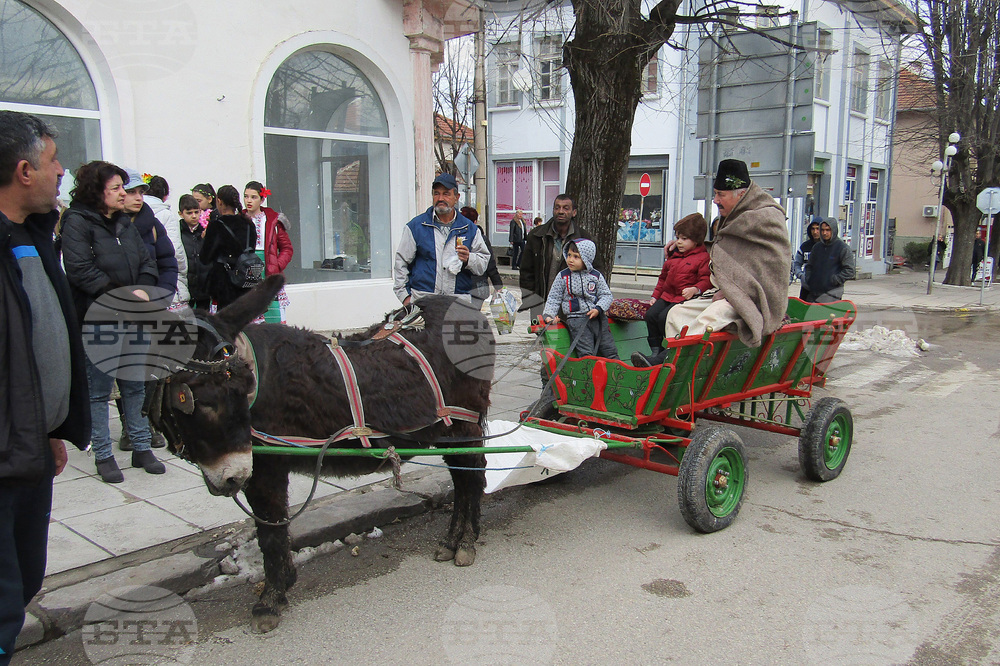 Конкурс за най-добро домашно вино правят във Вършец за празника Трифон Зарезан