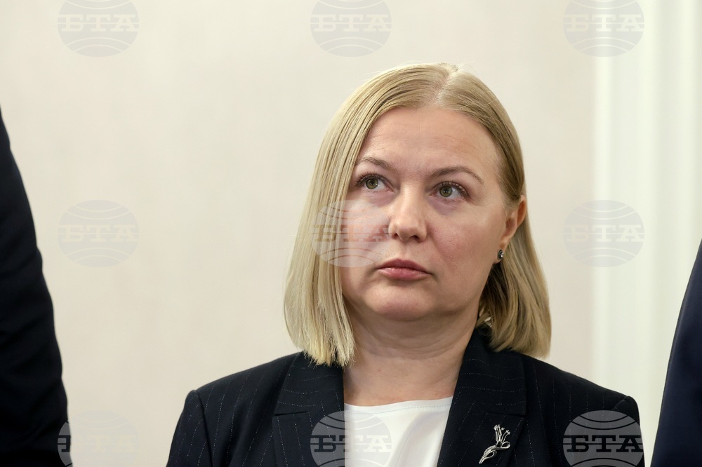 CC-DB's Nadejda Iordanova Urges Presidential Veto on Cap of 20 Polling Stations Outside EU