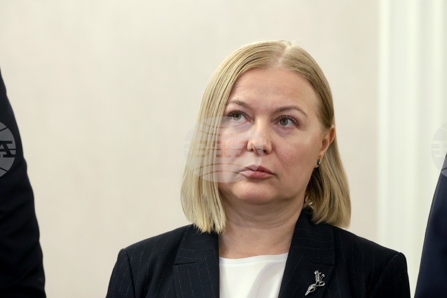 CC-DB's Nadejda Iordanova Urges Presidential Veto on Cap of 20 Polling Stations Outside EU