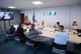 Съвет за електронни медии - Милен Митев - изслушване 