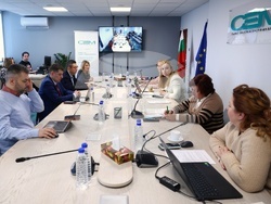 Съвет за електронни медии - Милен Митев - изслушване 