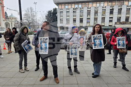 Плевен - Сияна - протест - дело