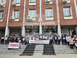 Плевен - Сияна - протест - дело