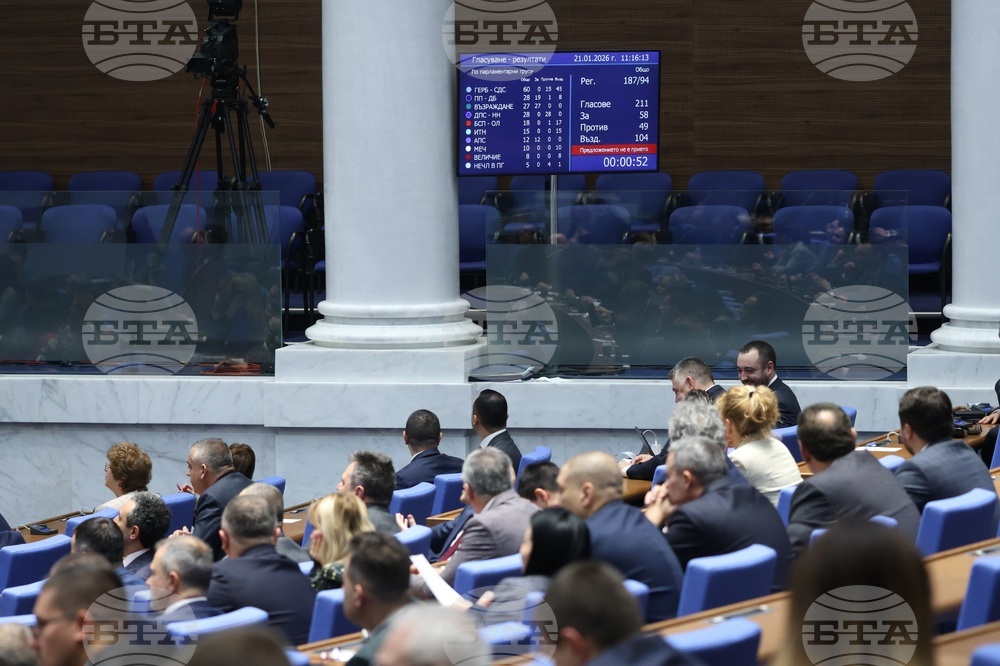 Up to 20 Polling Stations May Be Opened in Non-EU Countries, Parliament Decides at First Reading