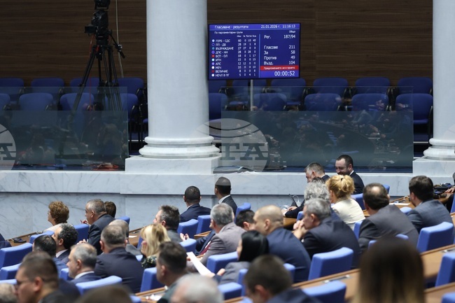 Up to 20 Polling Stations May Be Opened in Non-EU Countries, Parliament Decides at First Reading