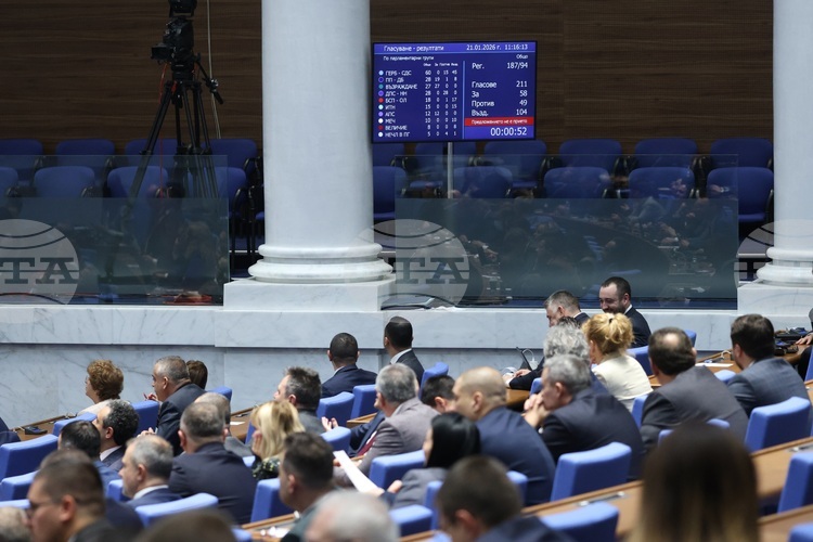 Up to 20 Polling Stations May Be Opened in Non-EU Countries, Parliament Decides at First Reading