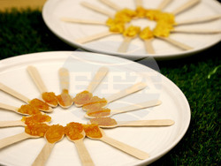 Варна - Институт по кулинарни изкуства - изложение