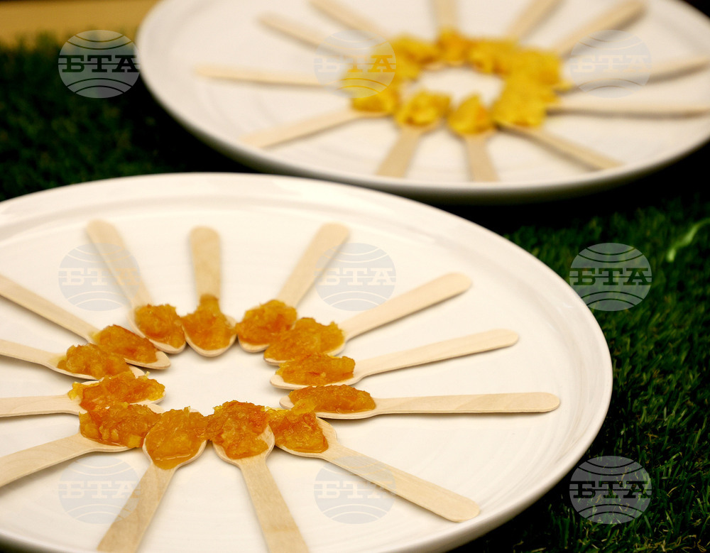 Варна - Институт по кулинарни изкуства - изложение