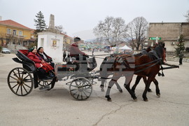 Село Брестник - Бабинден