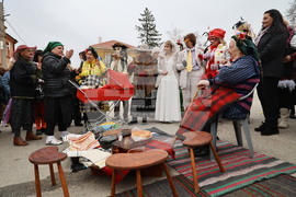 Село Брестник - Бабинден