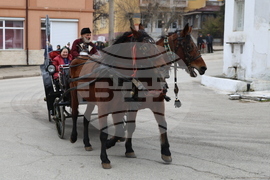 Село Брестник - Бабинден