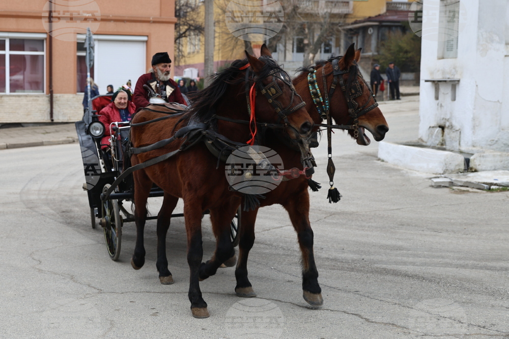 Село Брестник - Бабинден