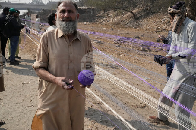 Pakistan Basant Festival