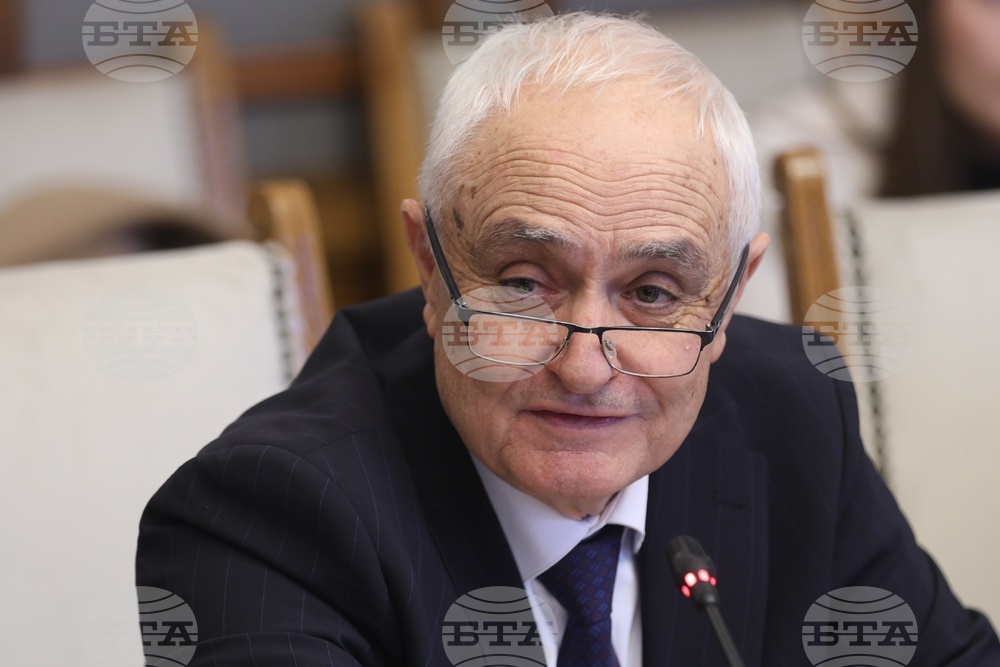 Bulgaria Not to Participate in NATO Exercises in Greenland - Outgoing Defence Minister