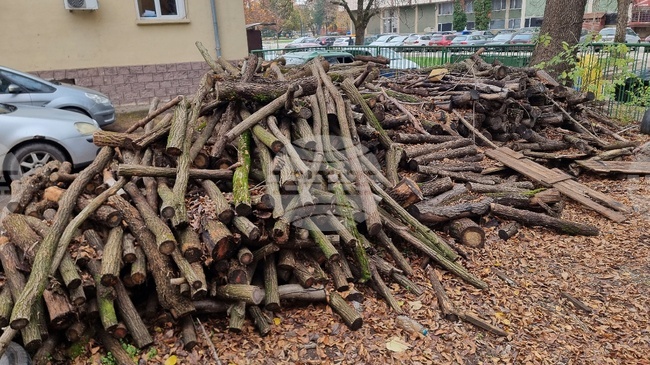 Двама бракониери на дърва са заловени край село Горни Цибър в община Вълчедръм