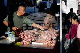 Venezuela Daily Live