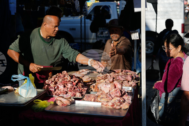 Venezuela Daily Live