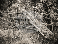 Преподаватели и студенти от Националната художествена академия разкриват във фотоизложба „Тайните на Странджа“. Снимка: НХА