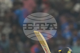 India New Zealand Cricket