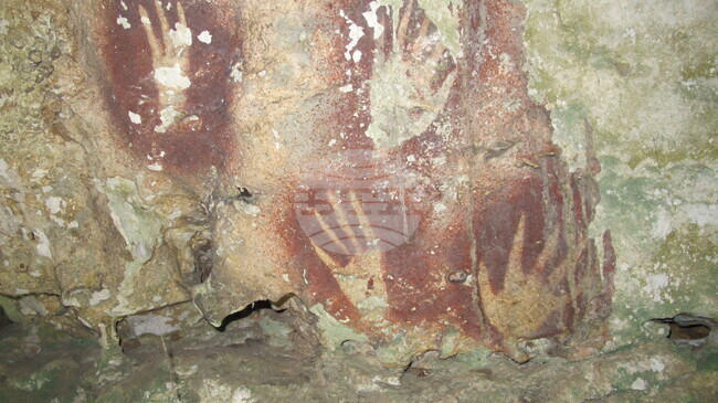 Учени в Индонезия откриха най-ранното известно пещерно изкуство в света 