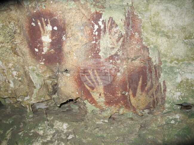 Oldest Cave Art