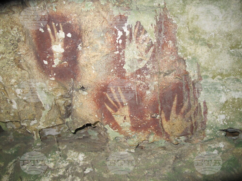 Oldest Cave Art