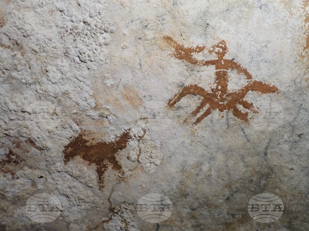 Oldest Cave Art
