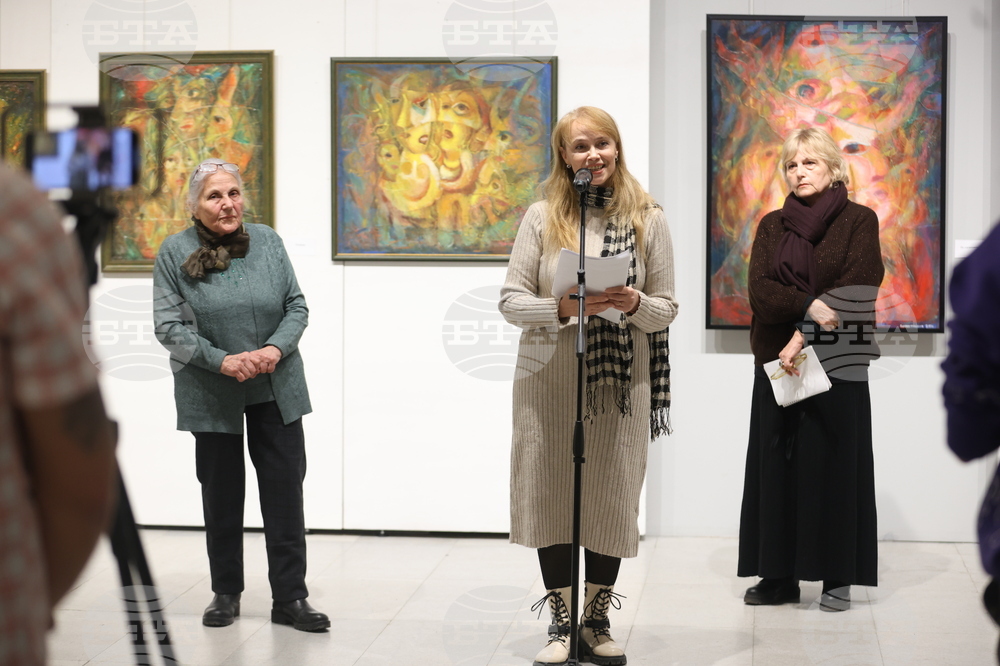 Симеон Младенов - изложба - представяне