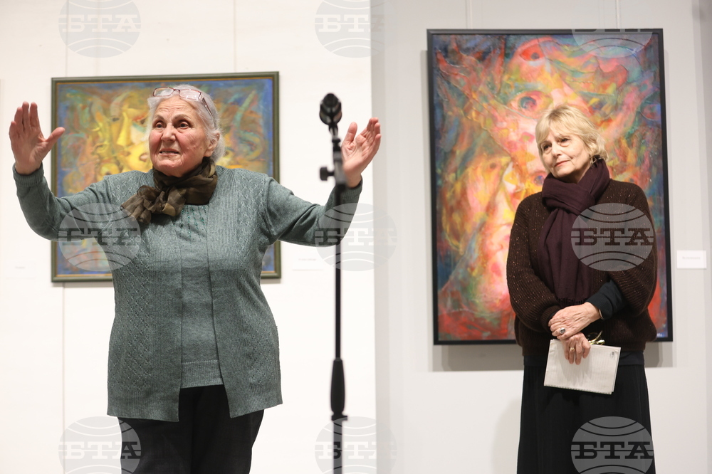 Симеон Младенов - изложба - представяне