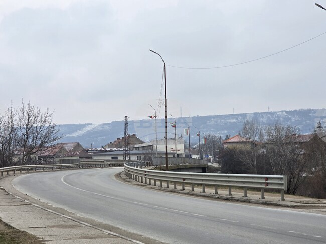 Две мъртви кучета са открити на брега на река Дунав в село Арчар, задържан е 74-годишен мъж