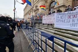 Румъния - Калин Джорджеску - симпатизанти - подкрепа