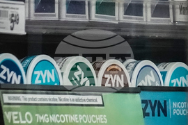 FDA Zyn Pouches